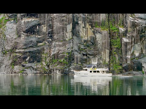 Видео: Любопытство — ключ к приключениям