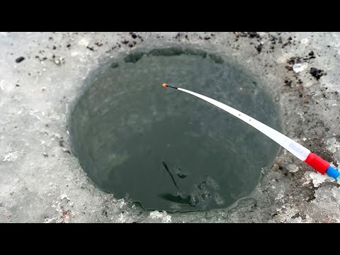 Видео: ЛУНКА НЕ ДЛЯ СЛАБОНЕРВНЫХ...КРУПНЯК ЗАБИРАЕТ УДОЧКУ! КИВОК и ПОПЛАВОК прёт! Зимняя рыбалка 2024