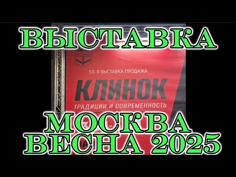 Видео: Ножевая выставка КЛИНОК в Москве,весна 2025.