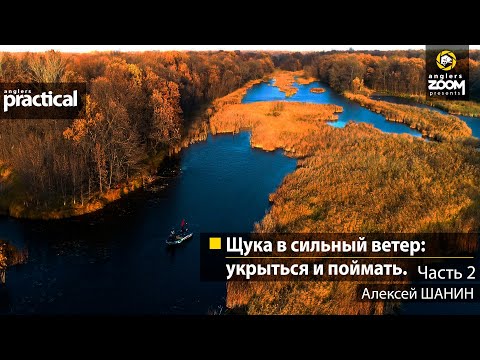 Видео: Щука в сильный ветер: укрыться и поймать. Алексей Шанин. Часть 2. Anglers Practical