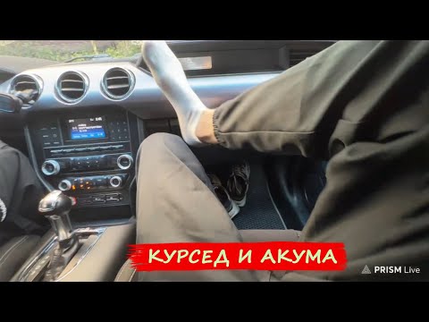 Видео: Курсед увез Акуму на Мустанге