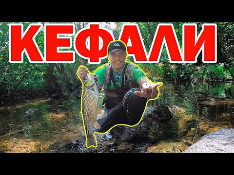Видео: Риболов на Кефал по река Велека!