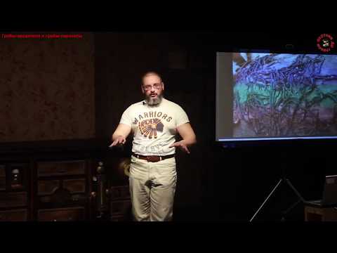 Видео: Михаил Вишневский. Грибы-вредители и грибы-паразиты