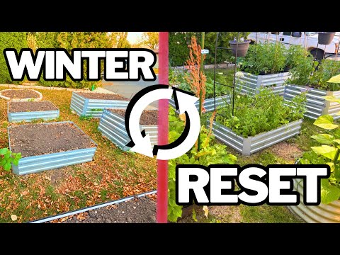Видео: 5 зимних решений для усталой, уплотненной или больной почвы