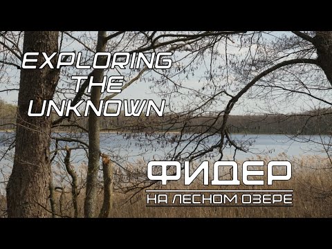 Видео: Фидерная рыбалка на оз. Плетень | По озёрам Мещёрского края (ep. 1)
