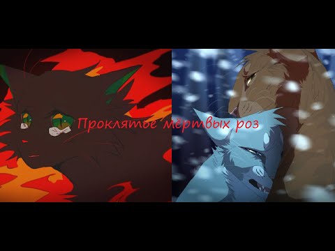 Видео: Коты Воители - Проклятье мёртвых роз