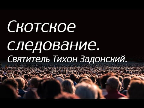 Видео: Скотское следование. Святитель Тихон Задонский.