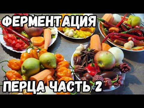 Видео: 2 часть. 5 рецептов ферментированного соуса из острого перца Каролина рипер,Хабанеро,Кайенский и др.