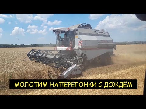 Видео: "Уборка зерновых 2019" обычный рабочий день