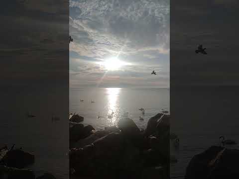 Видео: Любов'ю вічною я покохав тебе....Твій Господь .