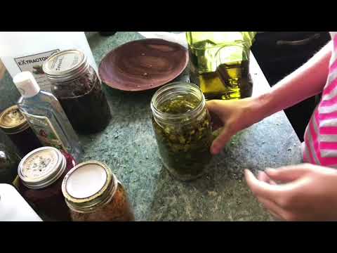Видео: Часть 2: Как приготовить настоянное масло из свежих или сушеных трав/Обзор настоек, масел и настоев