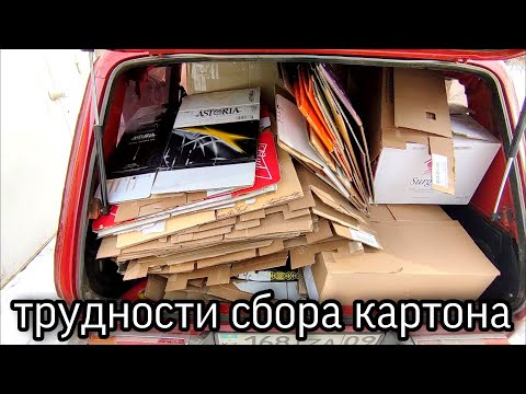 Видео: Факторы, которые затрудняют сбор картона. Картонные игры!