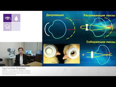 Видео: Рациональный алгоритм профилактики и лечения прогрессирующей миопии