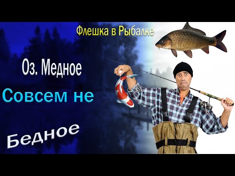 Видео: Русская Рыбалка 4. Прогулка по Водоемам. В поисках Трофея. Фарм.