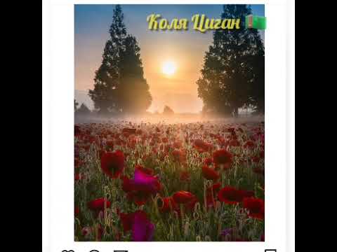 Видео: Коля Абасов Ai gyz Tirona #kolyasigan#lebap#Чарджов#jonliijro#turkmenaydym