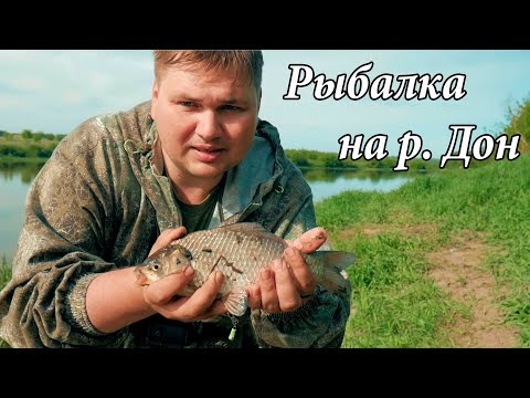 Видео: Самая универсальная и рабочая наживка на карася Рыбалка на реке Дон Карась на фидер