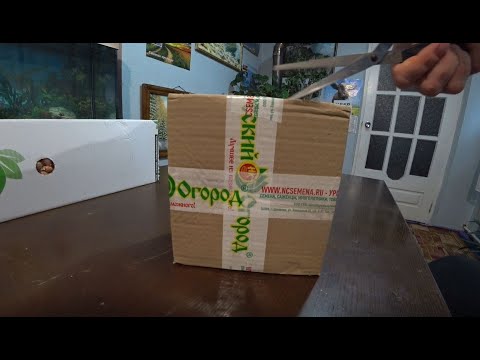 Видео: Обзор посылки от Русского огорода