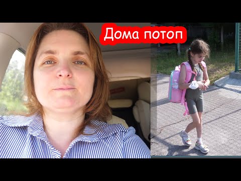 Видео: VLOG Отдали Алису в лагерь и уехали. Я купила хомячка