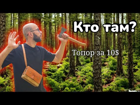 Видео: Ушел в синий лес с дешевым топором. Разговариваем о деревьях и насущном