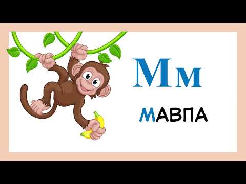 Видео: Моя перша абетка з тваринками 🦁🐰