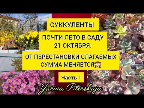 Видео: От перестановки слагаемых сумма меняется. Часть 1.