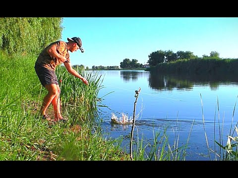 Видео: Я вышёл на рыбалку, душа моя тут отдыхает. Природа, закидушки, лодка, рыбка