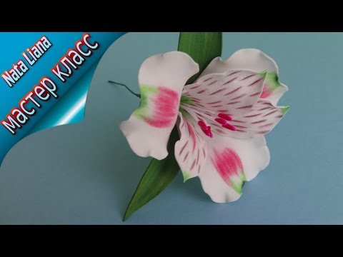 Видео: Альстромерия из фоамирана с выкройками. /Alstroemeria/  Мастер класс от Nata Liana.