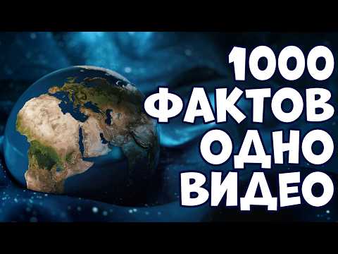 Видео: 1000 ИНТЕРЕСНЫХ ФАКТОВ В ОДНОМ ВИДЕО