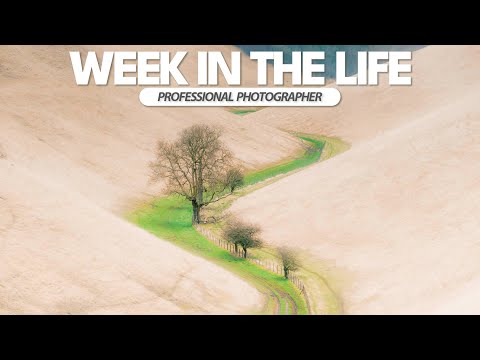 Видео: Неделя из жизни профессионального пейзажного фотографа