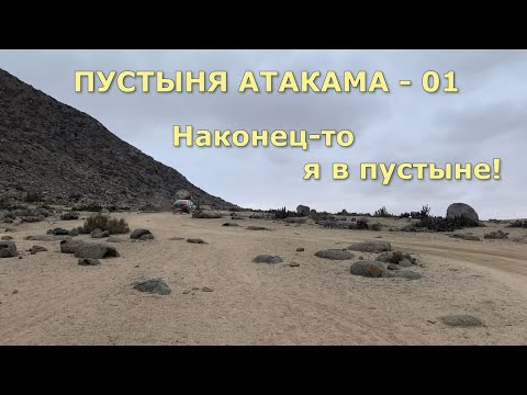 Видео: ПУСТЫНЯ АТАКАМА - 01 Наконец-то я в пустыне! #пустыня#Атакама#путешествия#приключения#кактусы#сталк