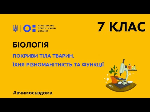 Видео: 7 клас. Біологія. Покриви тіла тварин, їхня різноманітність та функції (Тиж.1:ВТ)