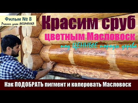 Видео: Подбираем ЦВЕТ и КРАСИМ сруб ЦВЕТНЫМ Масловоск под древесину ЦЕННЫХ пород. Как КОЛЕРОВАТЬ Масловоск.
