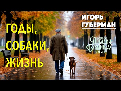 Видео: Игорь Губерман «Годы, собаки, жизнь». 