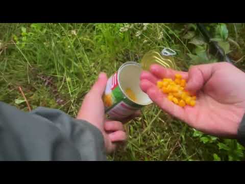 Видео: ОБЛОВИЛИ ВСІХ АВСТРІЙЦІВ. АРХІВНЕ ВІДЕО РИБАЛКА 2024