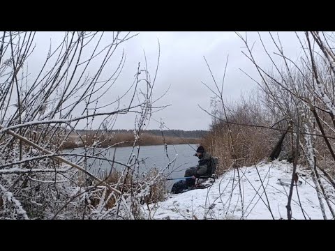 Видео: ПЕРВАЯ РЫБАЛКА 2025 ГОДА // ЗИМНЯЯ РЫБАЛКА НА ФИДЕР 11. 01. 2025...