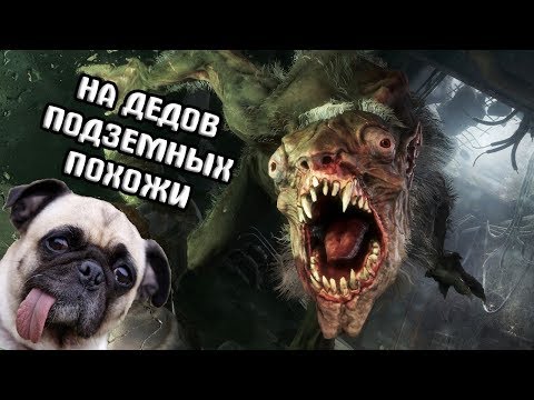 Видео: DAWG ИГРАЕТ В METRO EXODUS | ЧАСТЬ 1 | НАРЕЗКА | СТРИМ 18.02.19