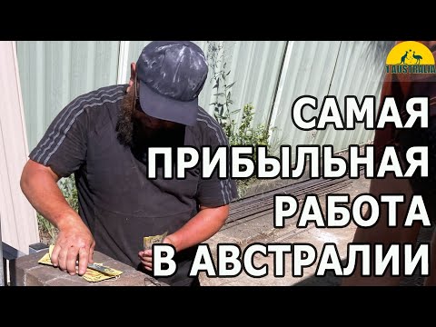 Видео: САМАЯ ПРИБЫЛЬНАЯ РАБОТА В АВСТРАЛИИ! [#1Australia]#6099 #иммиграция #эмиграция #новости #австралия