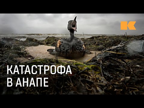 Видео: Крупнейшая экологическая катастрофа уходящего года