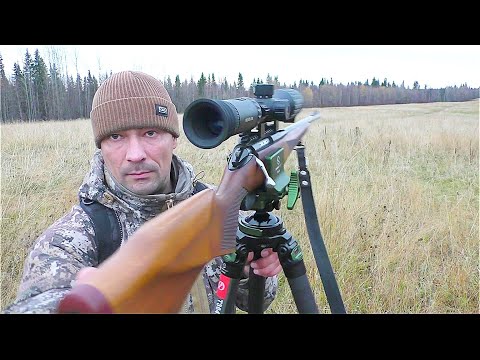 Видео: СЛАБОНЕРВНЫМ НЕ СМОТРЕТЬ / ОХОТА НА ВРЕДИТЕЛЯ В ПОЛНОЙ ТЕМНОТЕ / КАРАБИН ЛОСЬ + LZIRTEK VELES 650L