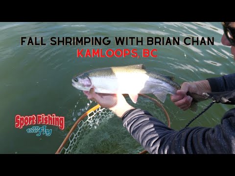 Видео: Нахлыстовая рыбалка: осенняя ловля креветок с Брайаном Чаном