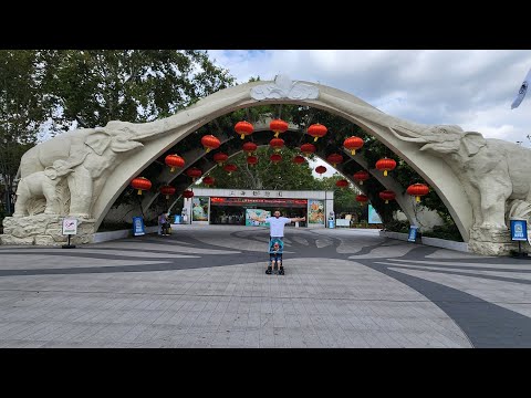 Видео: Шанхай. День 7й.ч1. Шанхайский зоопарк. 
