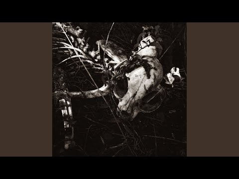 Видео: Черна Мати