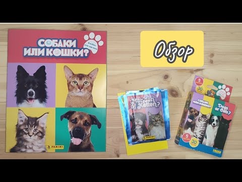 Видео: Собаки или кошки: часть 0. Обзор новой коллекции от Panini