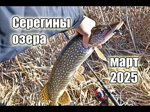 Видео: Мощный старт в щучий март