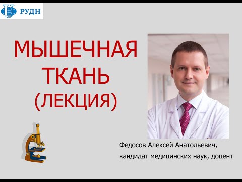 Видео: МЫШЕЧНАЯ ТКАНЬ (ЛЕКЦИЯ ПО ГИСТОЛОГИИ)