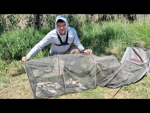 Видео: Ловля карася на фидер. Рыбалка с сыном на реке.