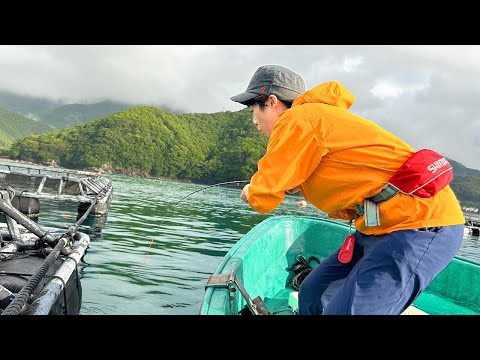 Видео: Что произойдет, если вы бросите рыбацкая приманка в яму пруда для аквакультуры?