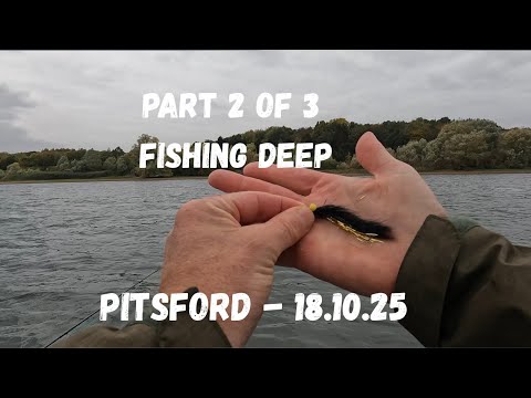 Видео: #48 Питсфорд // Рыбалка на глубине в течение часа — разнообразие #поймайиотпусти #рыбалканахлысто...