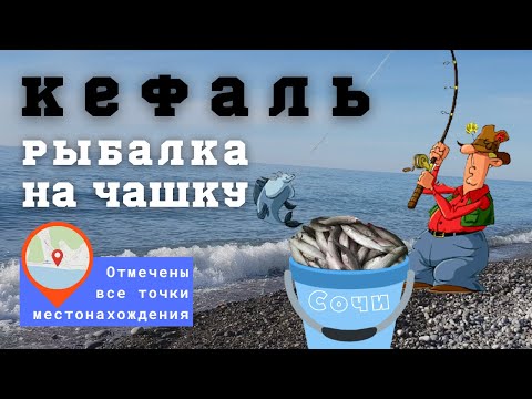 Видео: Ловля кефали на чашку/в черном море с берега (рыбалка на кефаль)