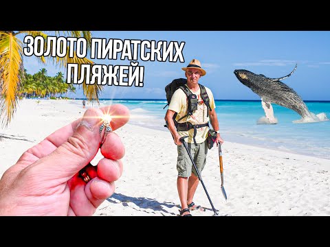 Видео: Наконец-то ЗОЛОТО! Доминикана, киты и Пиратский пляж Бакарди! Мега КОП с XP Deus! Много Золота!)